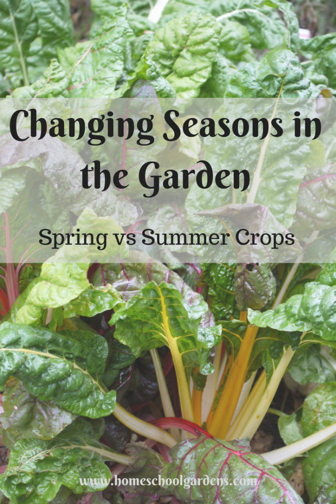 Changing Seasons in the Garden