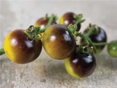 Gold Berries Tomato Baker Creek Heirloom Seeds
