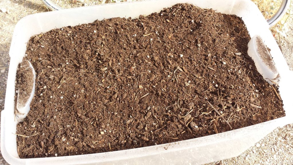 Finished compost after sifting