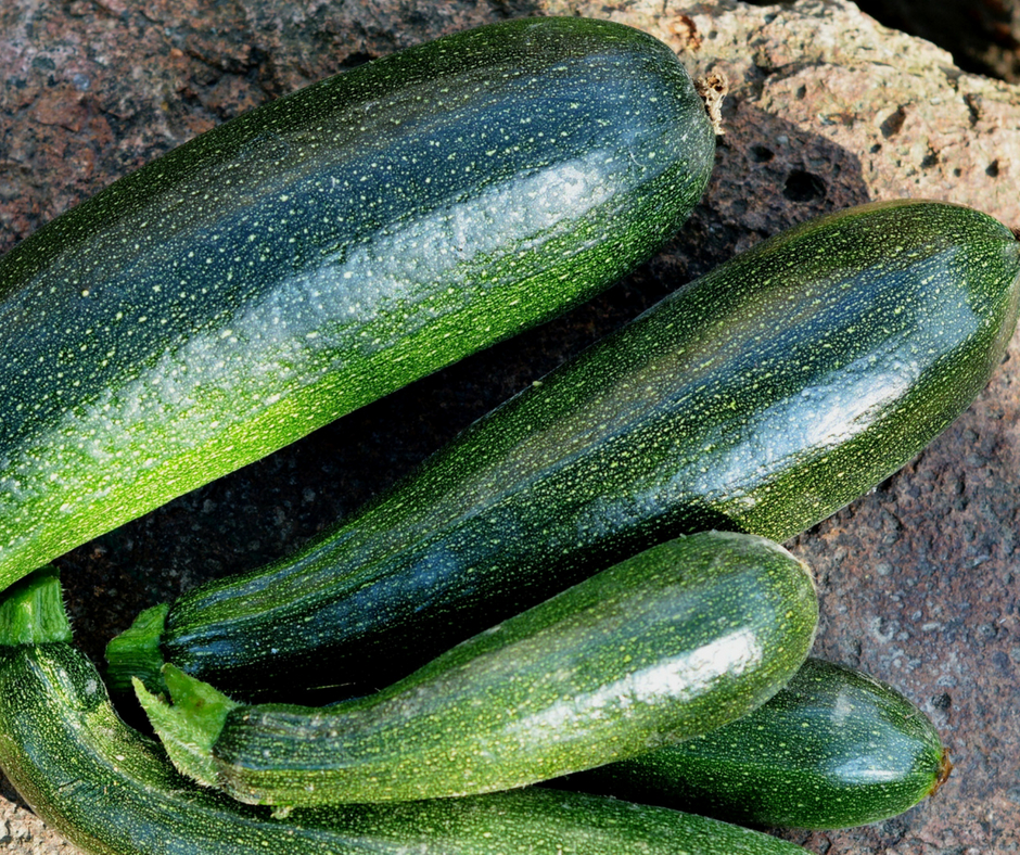 Zucchini and squash stay in my garden at home...not the community garden.