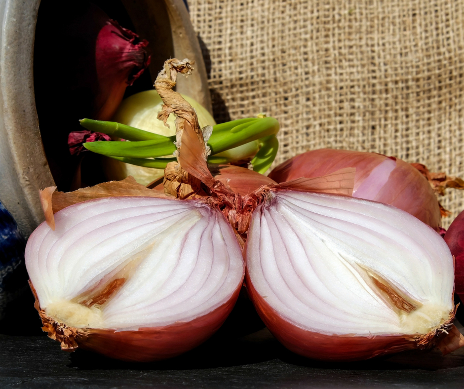 Onions and garlic are so easy to grow!