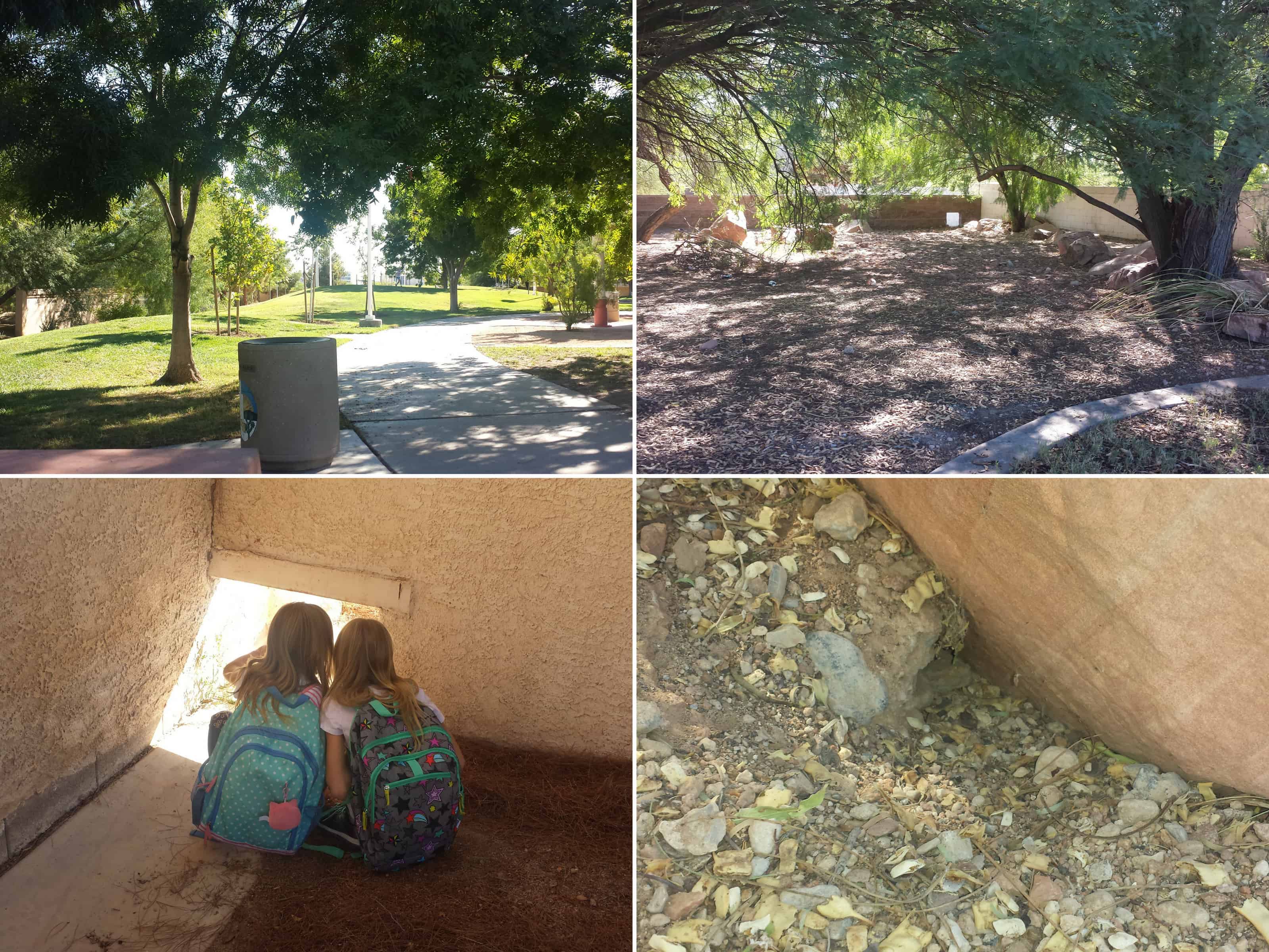 Nature in City Park