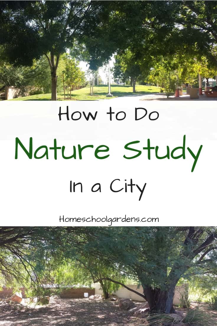 How to Do Nature Study in a City