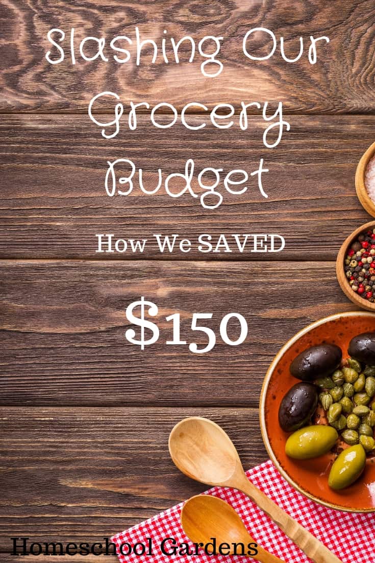 Slashing Our Grocery Budget September