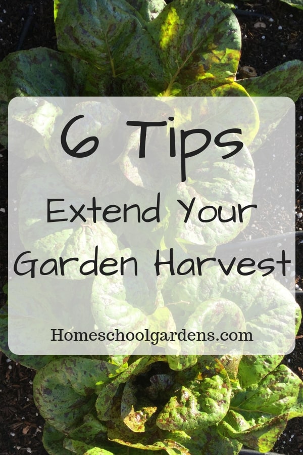 Extend Garden Harvest