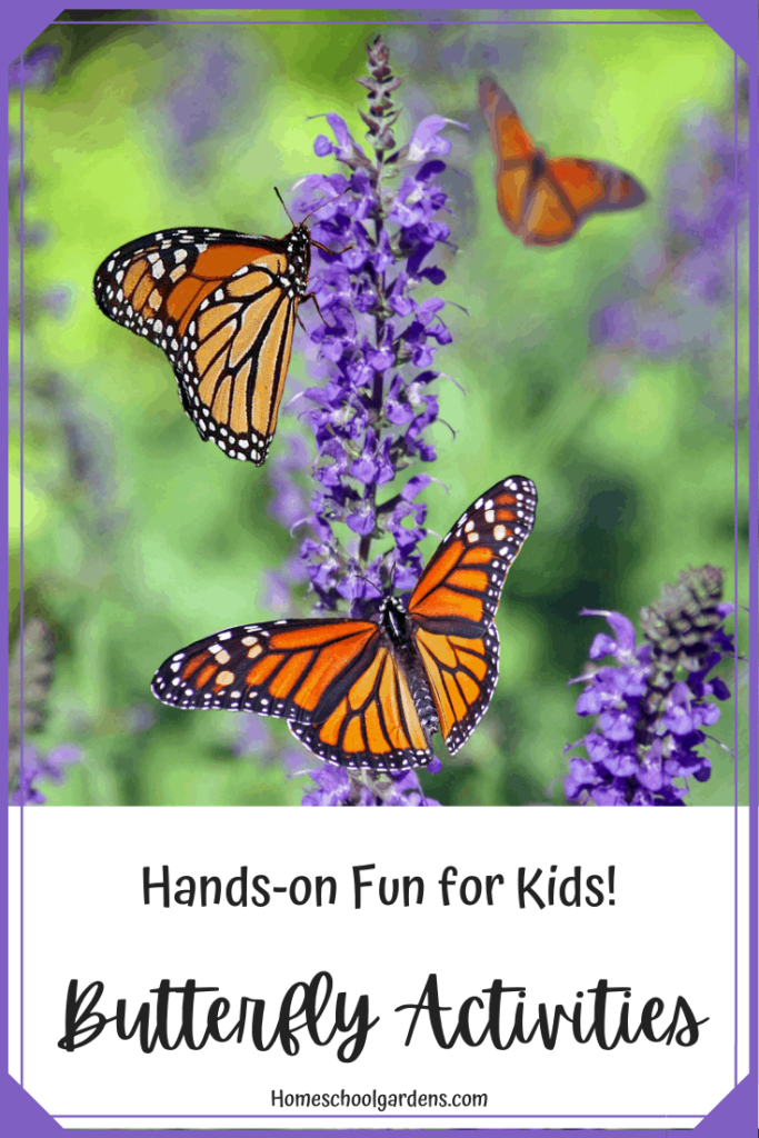 pinterest image for Hands-On Fun with Butterflies