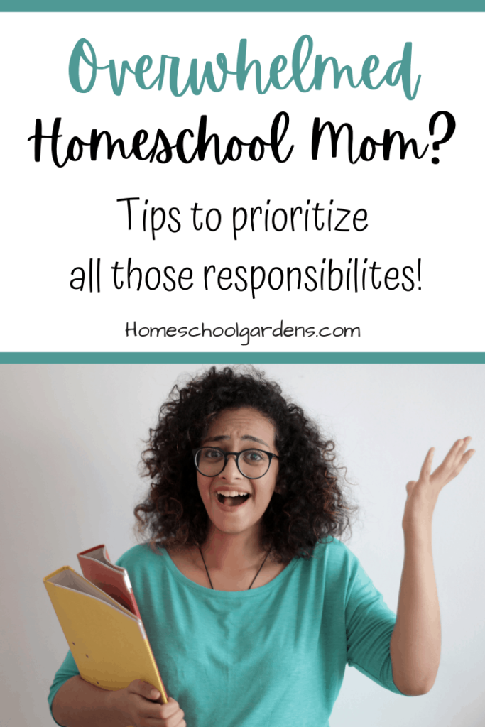 pinterest image for Finding Balance as a Homeschool Mom
