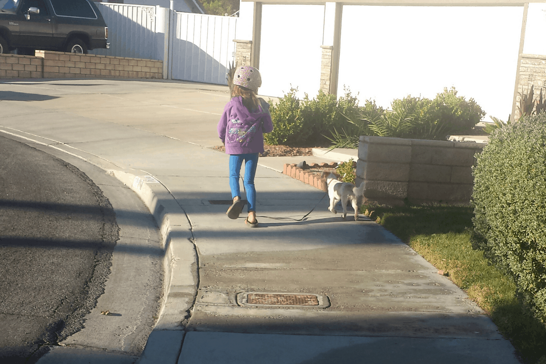 Kid Entrepreneur walking dog