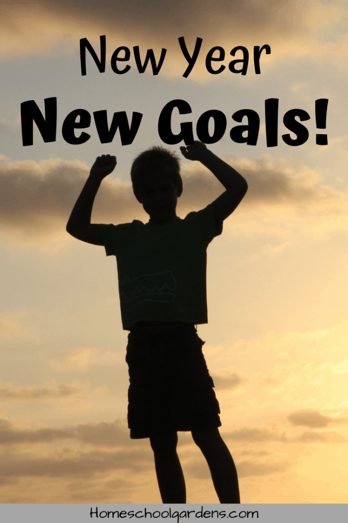 Pinterest image for Setting Goals for the New Year