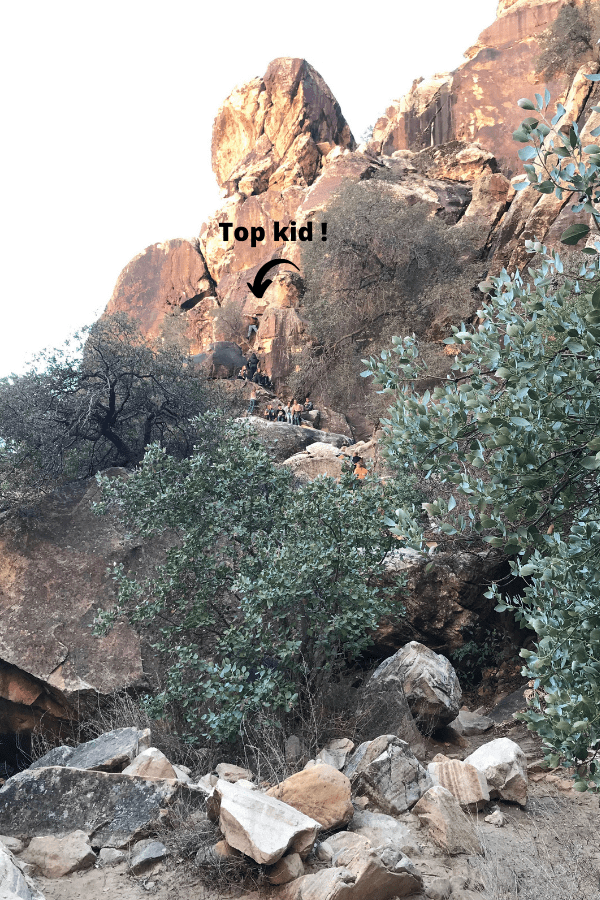 kids in nature climbing