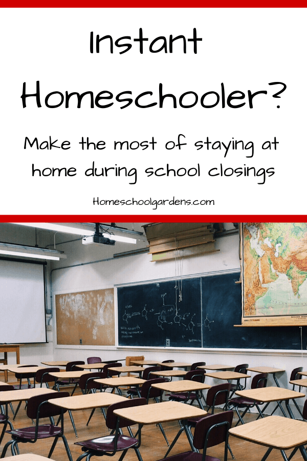school at home tip pinterest image