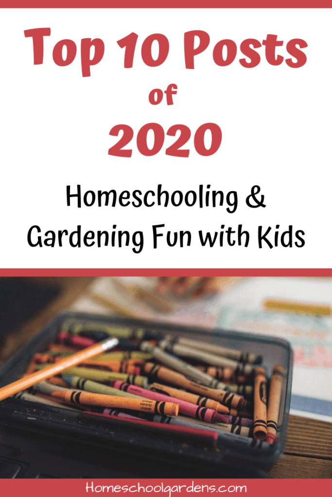 pinterest image Top 10 Posts of 2020