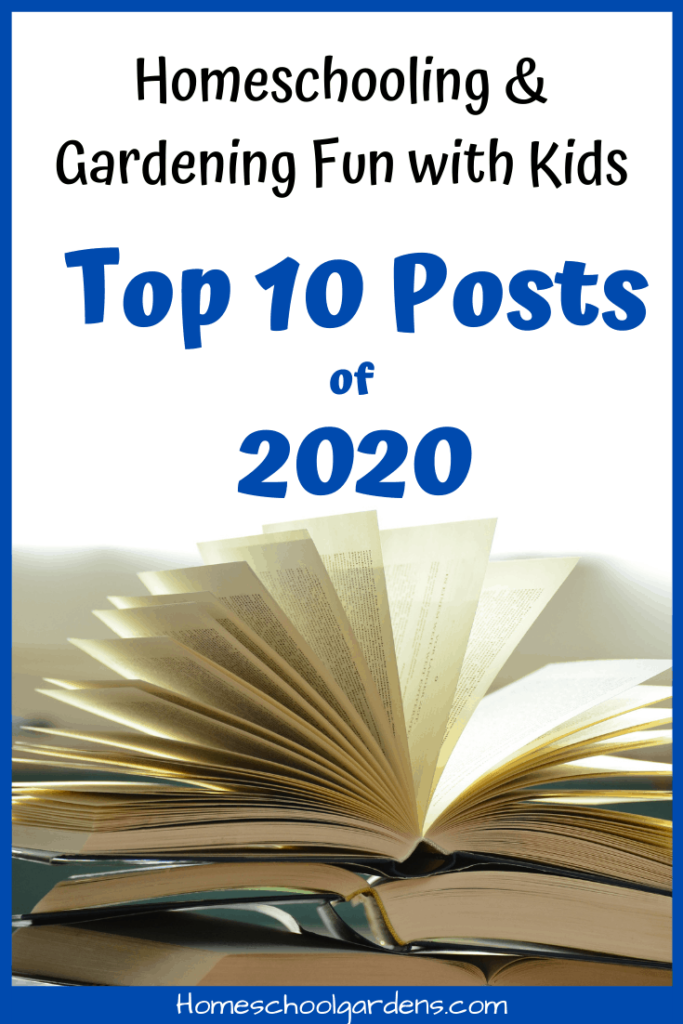 pinterst image for Top 10 Posts from 2020